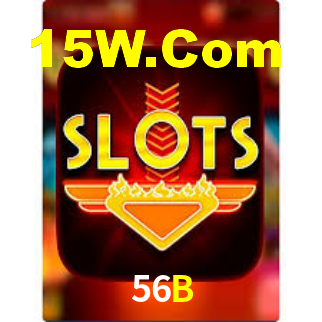 Premium Interface 56B